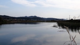 낙하산 > 낙하산의 낚시여행...(충남 예산 화산천 상류권) : 낚시사랑