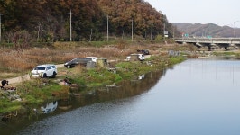 낙하산 > 낙하산의 낚시여행...(충남 예산 화산천 상류권) : 낚시사랑