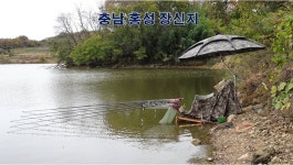 낙하산 > 낙하산의 낚시여행...(충남 홍성에 있는 장신지) : 낚시사랑
