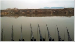 어신 > 남도권 3번째 출조 그 첫번째는 영암 원항리수로 : 낚시사랑