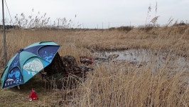 낙하산 > 낙하산의 낚시여행...(충남 서산 대산0번수로) : 낚시사랑