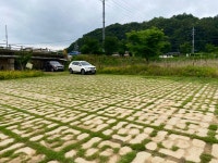 솔바람소리 > 화산천(신양수로) : 낚시사랑