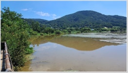 어신 > 7박 8일 우중낚시 마지막 기착지 봉서제 : 낚시사랑