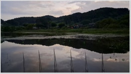 어신 > 7박 8일 우중낚시 마지막 기착지 봉서제 : 낚시사랑