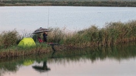 낙하산 > 낙하산의 낚시여행...(충남 서산에 있는 각지 & 와룡천) : 낚시사랑