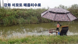 낙하산 > 낙하산의 낚시여행...(강화 석모도 매음리수로) : 낚시사랑