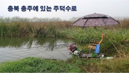 낙하산 > 낙하산의 낚시여행...(충북 충주에 있는 주덕수로 & 50방 납회) : 낚시사랑