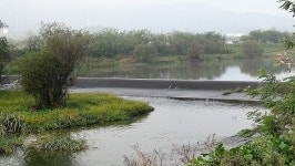 낙하산 > 낙하산의 낚시여행...(충북 충주에 있는 주덕수로 & 50방 납회) : 낚시사랑