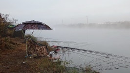 낙하산 > 낙하산의 낚시여행...(충남 당진 삽교호 부장리수로) : 낚시사랑