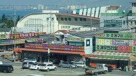 낙하산 > 낙하산의 낚시여행...(충남 당진 삽교호 부장리수로) : 낚시사랑
