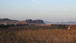 낙하산 > 낙하산의 낚시여행...(충남 서산 솔감지 & 태안 이원수로) : 낚시사랑