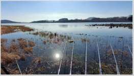 어신 > 겨울철 낚시가 잘 된다는 서천 축동지 : 낚시사랑