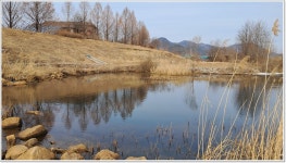 어신 > 가평 자라섬앞 달전천에서의 물낚시 하룻밤 : 낚시사랑