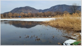 어신 > 가평 자라섬앞 달전천에서의 물낚시 하룻밤 : 낚시사랑