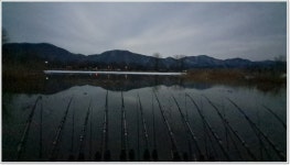 어신 > 가평 자라섬앞 달전천에서의 물낚시 하룻밤 : 낚시사랑