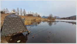 어신 > 가평 자라섬앞 달전천에서의 물낚시 하룻밤 : 낚시사랑