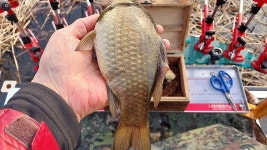 낙하산 > 낙하산의 낚시여행...(충남 서산 대산수로) : 낚시사랑