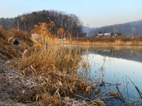 솔바람소리 > 시장지 : 낚시사랑