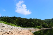 솔바람소리 > 천안 남면 소류지 : 낚시사랑