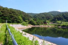 솔바람소리 > 천안 남면 소류지 : 낚시사랑