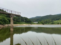 솔바람소리 > 안성 소류지 : 낚시사랑