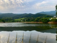 솔바람소리 > 안성 소류지 : 낚시사랑