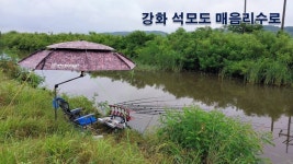 낙하산 > 낙하산의 낚시여행...(강화 석모도 매음리수로) : 낚시사랑