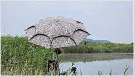어신 > 짬낚시 다녀온 궁평항 인근 둠벙 : 낚시사랑
