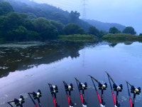 솔바람소리 > 대치면 숫골 방죽 : 낚시사랑