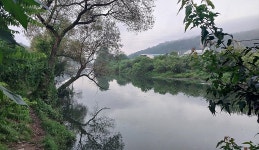 낙하산 > 낙하산의 낚시여행...(경기도 포천 영평천 지류) : 낚시사랑