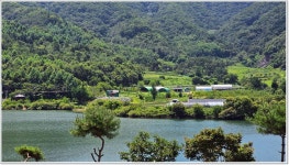 어신 > 대물터 수철지에서의 하룻밤 : 낚시사랑