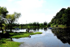 솔바람소리 > 천안 성거 소류지 : 낚시사랑