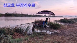 낙하산 > 낙하산의 낚시여행...(충남 당진 삽교호 부장리) : 낚시사랑