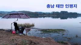 낙하산 > 낙하산의 낚시여행...(충남 태안 인평지) : 낚시사랑