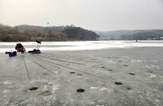 인천사랑. > 반곡저수지 얼음낚시 : 낚시사랑