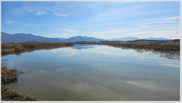 어신 > 마지막으로 찾았던 양장리수로 본류권. : 낚시사랑