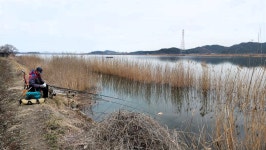 낙하산 > 낙하산의 낚시여행...(당진 대호 적서리) : 낚시사랑