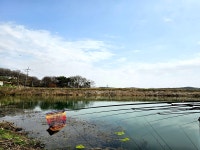 인천사랑. > 강화소류지 : 낚시사랑