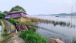 낙하산 > 낙하산의 낚시여행...(충남 당진 대호 적서리) : 낚시사랑