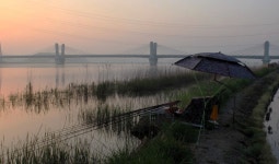 낙하산 > 낙하산의 낚시여행...(충남 당진 대호 적서리) : 낚시사랑