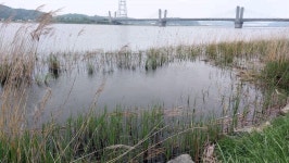 낙하산 > 낙하산의 낚시여행...(충남 당진 대호 적서리) : 낚시사랑