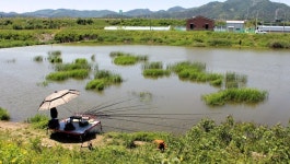 낙하산 > 낙하산의 낚시여행...(경기도 안성 한천 상류권) : 낚시사랑