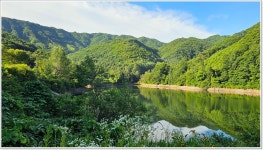 어신 > 좋은곳 알려준다기에 찾아가 보니 : 낚시사랑