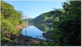 어신 > 좋은곳 알려준다기에 찾아가 보니 : 낚시사랑