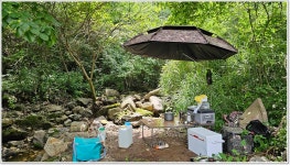 어신 > 좋은곳 알려준다기에 찾아가 보니 : 낚시사랑