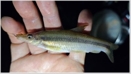 어신 > 좋은곳 알려준다기에 찾아가 보니 : 낚시사랑