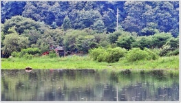 어신 > 차대고 3보인 초평천에서 : 낚시사랑