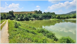 어신 > 다시 찾은 탄금호 우륵대교 포인트 : 낚시사랑