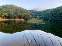 솔바람소리 > 안성 소류지 : 낚시사랑