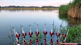 낙하산 > 낙하산의 낚시여행...(충남 당진 대호 적서리) : 낚시사랑